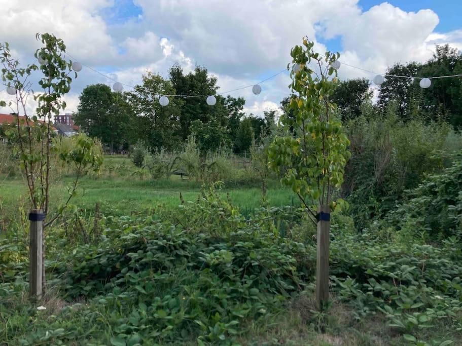 Appartement De Tuinkamer Kampen Buitenkant foto